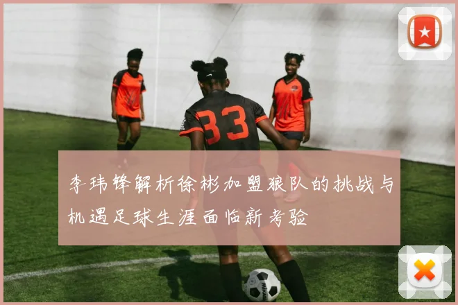 李玮锋解析徐彬加盟狼队的挑战与机遇足球生涯面临新考验