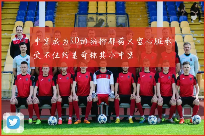 申京成为KD的抗抑郁药火蜜心脏承受不住约基奇称其小申京