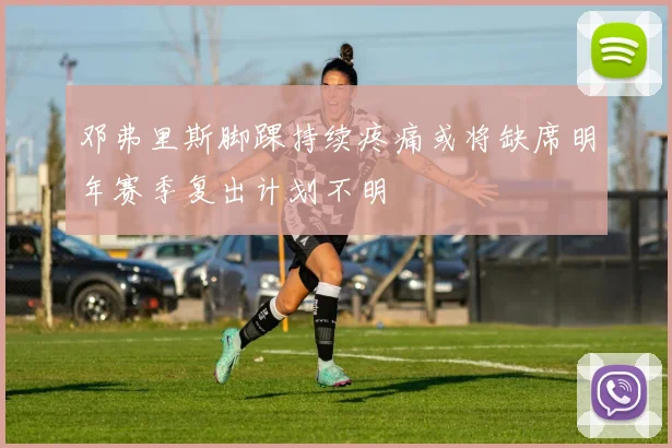 邓弗里斯脚踝持续疼痛或将缺席明年赛季复出计划不明