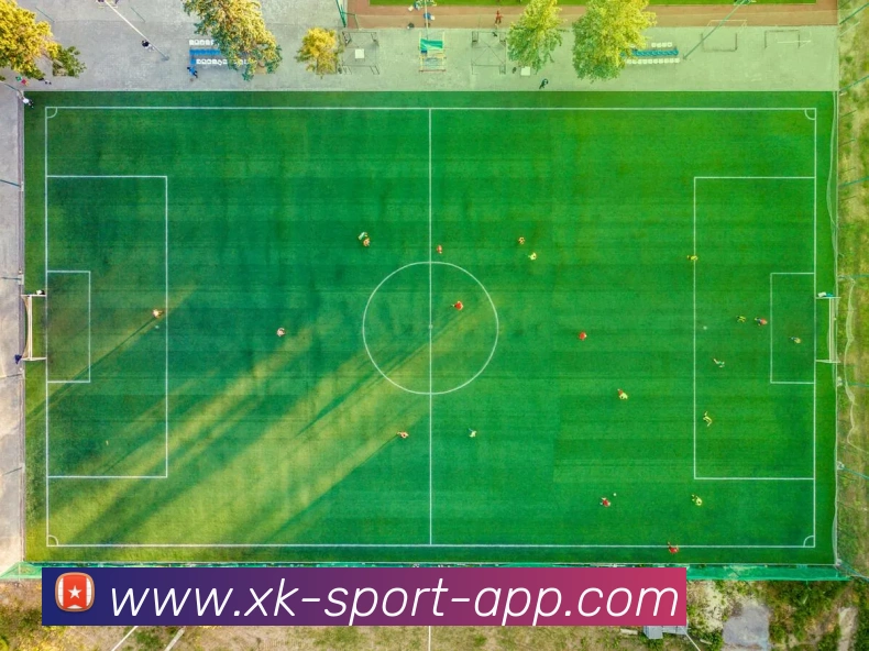 星空体育平台生态图